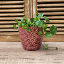 Load image into Gallery viewer, The Leaferie Nevola red flowerpot. ceramic material