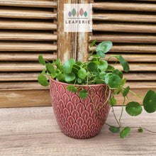 Load image into Gallery viewer, The Leaferie Nevola red flowerpot. ceramic material