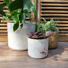Load image into Gallery viewer, The Leaferie Tavo pot . 3 designs. ceramic pot with leaf inprint