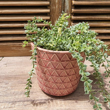 Load image into Gallery viewer, The Leaferie Linz Flowerpot. red colour ceramic pot