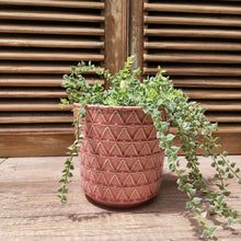 Load image into Gallery viewer, The Leaferie Linz Flowerpot. red colour ceramic pot
