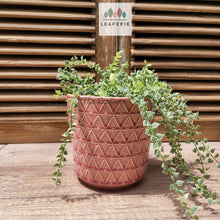 Load image into Gallery viewer, The Leaferie Linz Flowerpot. red colour ceramic pot