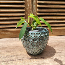 Load image into Gallery viewer, The Leaferie Eisen blueish ceramic pot. front view with plant