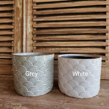 Load image into Gallery viewer, Wolken Flowerpot