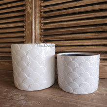 Load image into Gallery viewer, Wolken Flowerpot