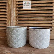 Load image into Gallery viewer, Wolken Flowerpot