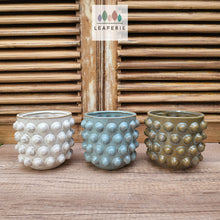 Load image into Gallery viewer, The Leaferie Pinka pot. 3 colours ceramic pot with studs.