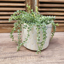 Load image into Gallery viewer, The Leaferie Kariba white pot. ceramic material.
