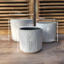 Load image into Gallery viewer, The Leaferie Hodna white ceramic pot. 3 sizes. pot with leaf motif