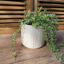 Load image into Gallery viewer, The Leaferie Hodna white ceramic pot. 3 sizes. pot with leaf motif