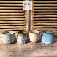 Load image into Gallery viewer, Vivace Mini Pot
