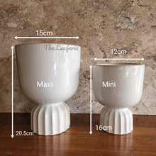 Load image into Gallery viewer, The Leaferie Taquari white ceramic pot. 2 sizes