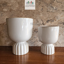 Load image into Gallery viewer, The Leaferie Taquari white ceramic pot. 2 sizes
