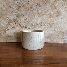 Load image into Gallery viewer, The Leaferie colby shallow planter . white ceramic with speckled . front view