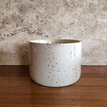 Load image into Gallery viewer, The Leaferie colby shallow planter . white ceramic with speckled . front view