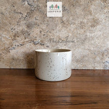 Load image into Gallery viewer, The Leaferie colby shallow planter . white ceramic with speckled . front view