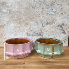 Load image into Gallery viewer, The Leaferie Knoxx shallow pot. 2 colours. ceramic