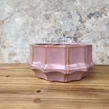 Load image into Gallery viewer, The Leaferie Knoxx shallow pot. 2 colours. ceramic
