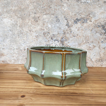 Load image into Gallery viewer, The Leaferie Knoxx shallow pot. 2 colours. ceramic