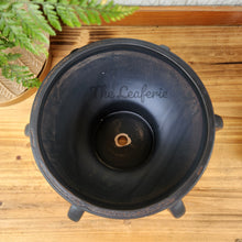 Load image into Gallery viewer, Lucca Pot