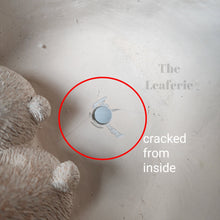 Load image into Gallery viewer, As-Is Pots Batch December 2022 (7 items)