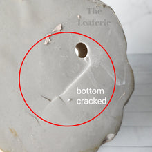 Load image into Gallery viewer, As-Is Pots Batch December 2022 (7 items)