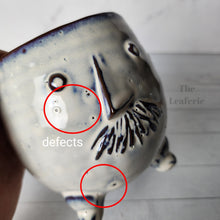 Load image into Gallery viewer, As-Is Pots Batch December 2022 (7 items)