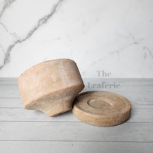 Load image into Gallery viewer, The Leaferie Pascale terracotta pot with tray. 2 sizes. Front view