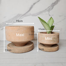 Load image into Gallery viewer, The Leaferie Pascale terracotta pot with tray. 2 sizes. Front view of both sizes