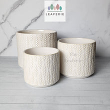 Load image into Gallery viewer, The Leaferie Florent white ceramic pot. 3 sizes . front view