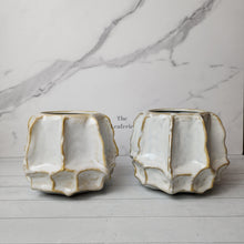 Load image into Gallery viewer, The Leaferie Octava Flowerpot. ceramic material
