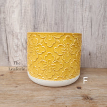 Load image into Gallery viewer, The Leaferie Cossette mini flowerpot 13 designs. front view of Design F