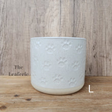 Load image into Gallery viewer, Cossette Mini Flowerpot (13 designs)