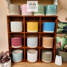 Load image into Gallery viewer, The Leaferie Cossette mini flowerpot 13 designs. front view of all designs