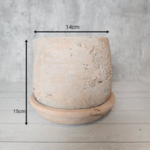 Load image into Gallery viewer, The Leaferie Tillie terracotta pot with matching tray. rugged and aesthetic flowerpot. front view with size