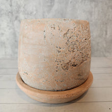 Load image into Gallery viewer, The Leaferie Tillie terracotta pot with matching tray. rugged and aesthetic flowerpot. front view close up