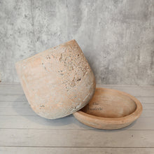 Load image into Gallery viewer, The Leaferie Tillie terracotta pot with matching tray. rugged and aesthetic flowerpot. front view