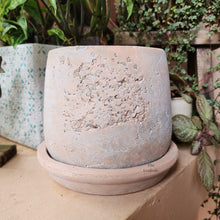 Load image into Gallery viewer, The Leaferie Tillie terracotta pot with matching tray. rugged and aesthetic flowerpot. front view