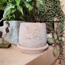Load image into Gallery viewer, The Leaferie Tillie terracotta pot with matching tray. rugged and aesthetic flowerpot. front view
