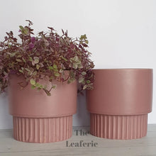 Load image into Gallery viewer, The Leaferie Blush plant pot. pink ceramic flowerpot. front view