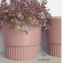 Load image into Gallery viewer, The Leaferie Blush plant pot. pink ceramic flowerpot. front view with plant