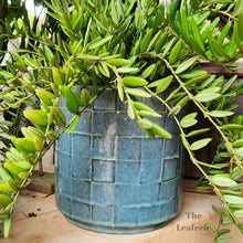 Load image into Gallery viewer, Lazarina Pot