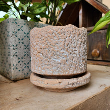 Load image into Gallery viewer, The Leaferie Ryanna terracotta pot with tray