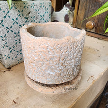 Load image into Gallery viewer, The Leaferie Ryanna terracotta pot with tray