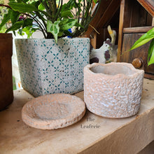 Load image into Gallery viewer, The Leaferie Ryanna terracotta pot with tray