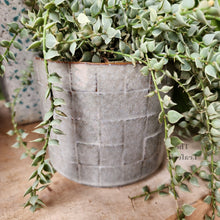 Load image into Gallery viewer, The Leaferie Rory grey ceramic pot.