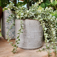 Load image into Gallery viewer, The Leaferie Rory grey ceramic pot.