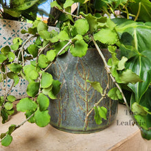 Load image into Gallery viewer, The Leaferie Riona leaf green ceramic flowerpot