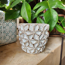 Load image into Gallery viewer, The Leaferie Bevin plant pot . ceramic flowerpot . front view
