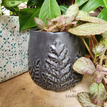 Load image into Gallery viewer, The Leaferie colleen ceramic plant pot. 2 colours black and white planter. front view of design B with plant